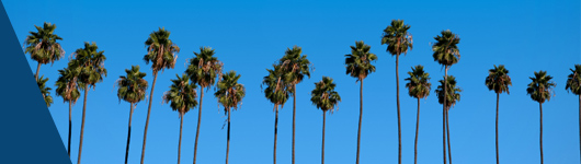 The Great California ShakeOut