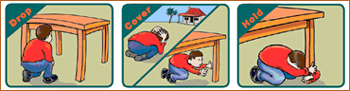 Drop, Cover, and Hold On image
